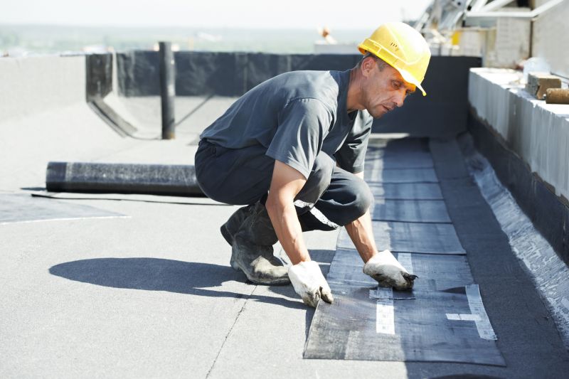 Tpo Roof Coating Service